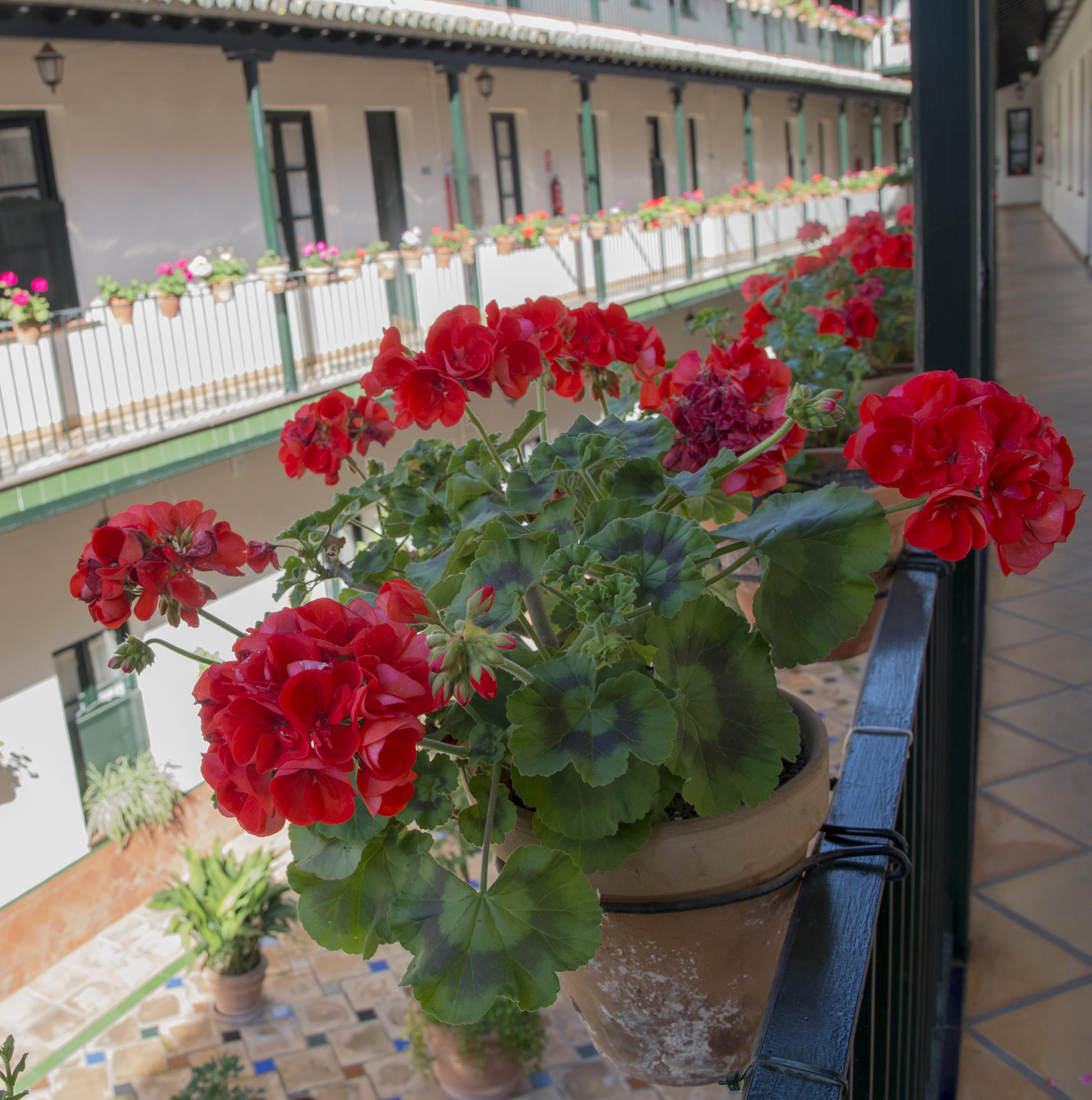 Corral De Los Chicharos Apartment Seville Luaran gambar